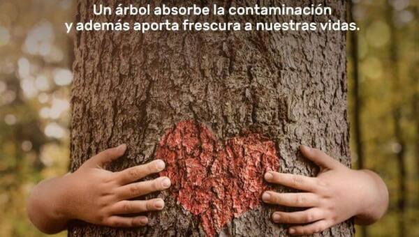 VCP Sociedad: Aire que reforesta & espacios con luz y vida
