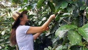 Café con aroma colombiano: Mary’s Coffee House prepara un tour cafetero (desde fincas hasta cafeterías)