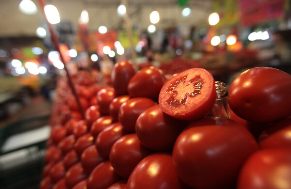 Tomate mexicano promedió un crecimiento del 9,5 % en la última década - MarketData