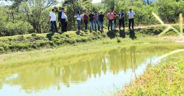 La Nación / Pobladores de San Roque González reiniciaron el proyecto Piscicultura en mi comunidad