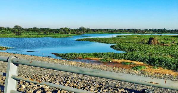 La Nación / Sistema de humedales de la costanera de Asunción toman notoriedad tras visita de Megan Fox