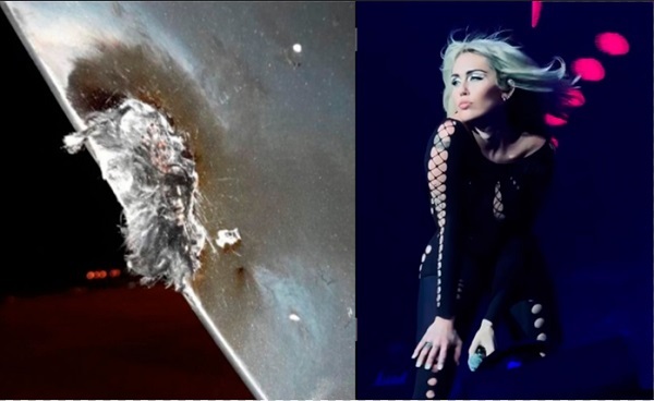 Rayo alcanzó el avión de Miley Cyrus y ahora ella está en São Paulo