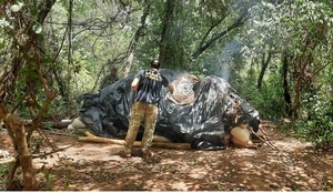 Operación Alianza XXX: Golpe al narcotráfico en primer día fue superior a US$ 3 millones