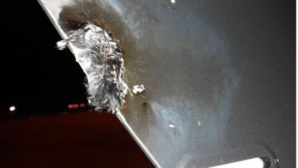Rayo cayó por el avión en el que viajaba Miley Cyrus