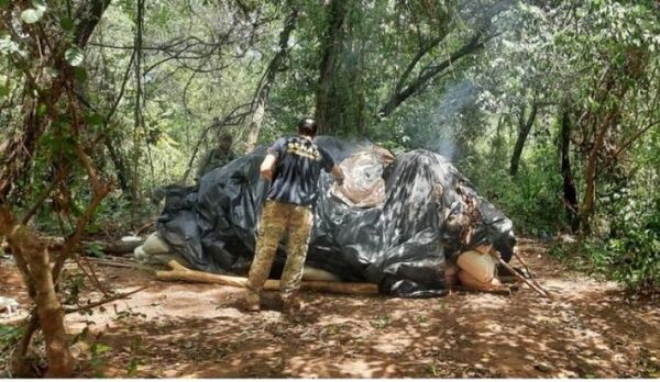 Operación Alianza XXX: Golpe al narcotráfico en primer día fue superior a US$ 3 millones