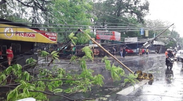 Secuelas de la tormenta: reestablecieron el 95 % de los alimentadores averiados - ADN Digital