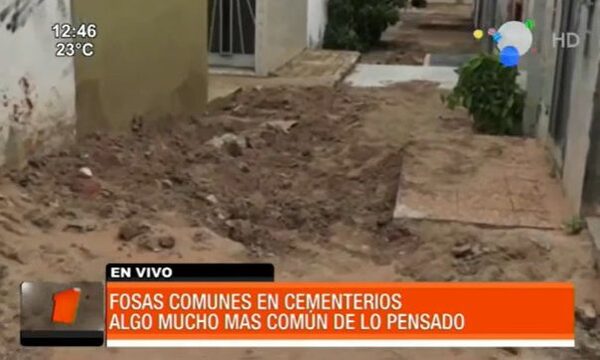 Fosas comunes en cementerios "es algo frecuente" | Telefuturo