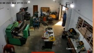 Detienen al presunto asesino del mecánico de San Lorenzo | Noticias Paraguay