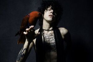 La cantante estadounidense LP tendrá hoy su revancha en Kilkenny - Música - ABC Color