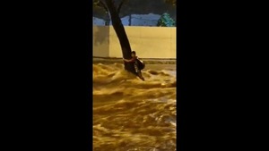 Niño salvado por Froilán es hijo del senador Godoy, quien le agradeció en las redes sociales - ADN Digital