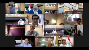 Senado aprueba proyecto de subsidio a los combustibles