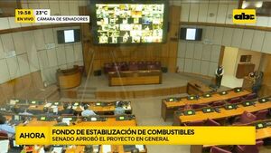 Aprobaron proyecto de ley que plantea crear un fondo de estabilización del precio de combustibles - ABC Noticias - ABC Color