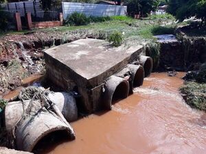 Temporal: Un muerto y varios barrios bajo agua en San Lorenzo - Nacionales - ABC Color