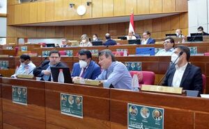 Aprueban subsidio a Petropar y los privados recortan horario de atención - Nacionales - ABC Color