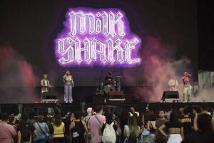 Asunciónico: diluvio y sorpresas de un festival que no pudo ser - Música - ABC Color