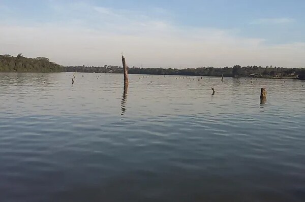 Alto Paraná: Encuentran a niña desaparecida en arroyo tras temporal