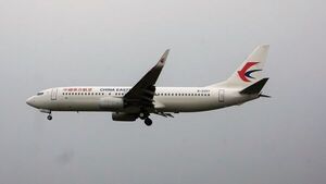 Hallan restos humanos y motor en lugar de siniestro aéreo