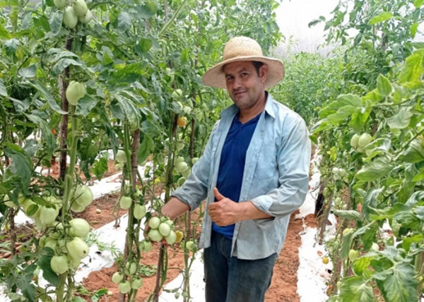 Frutihorticultor logra posicionar su producción en el mercado con apoyo del CAH - .::Agencia IP::.