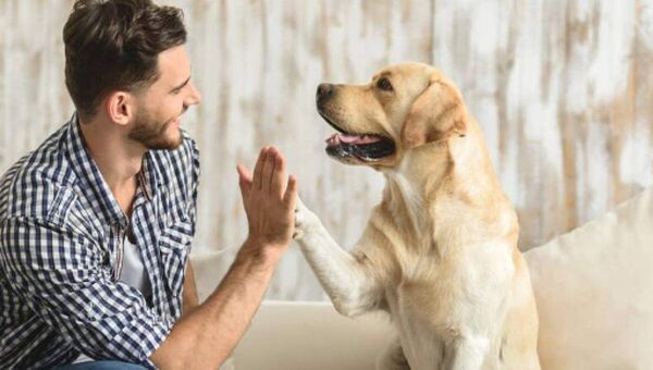 Tener una mascota nos hace más felices y nos ayuda a tener una cita - Mascotas - ABC Color