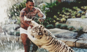 Mike Tyson reveló cuál era la peor parte de dormir con sus tigres de Bengala