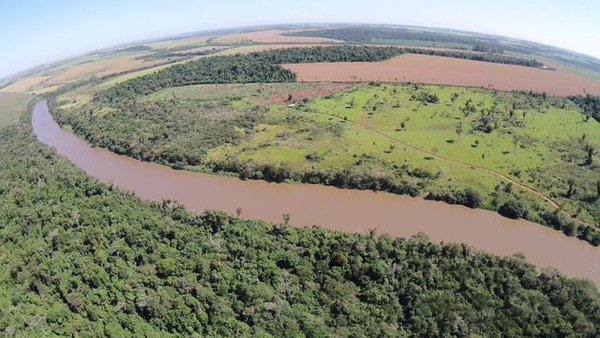 El consorcio Puente Monday construirá puente sobre el río Monday