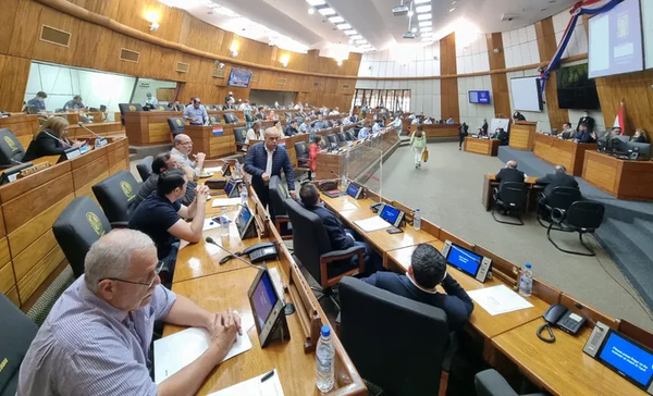 Diputados dan luz verde a Ley de Subsidio a Combustibles para Petropar - Noticiero Paraguay