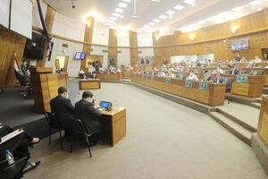 Diputados sancionó ley de subsidio a Petropar y combustibles ya tienen precio reducido - El Trueno