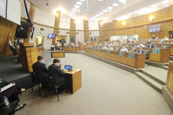 Diputados sancionó ley de subsidio a Petropar y combustibles ya tienen precio reducido - El Trueno