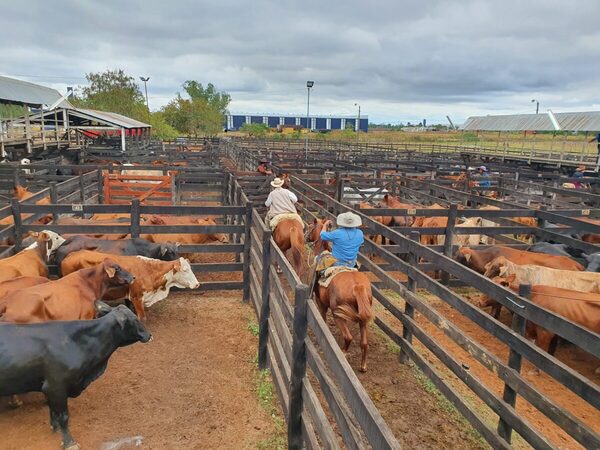 Ferias de consumo sienten el impacto de la salida de Rusia y el contrabando de carne