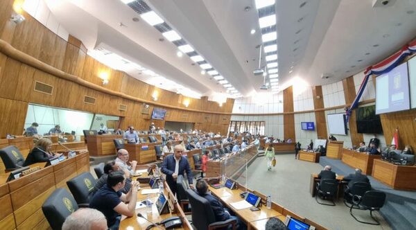 Diputados aprobaron ley del subsidio para combustible de Petropar