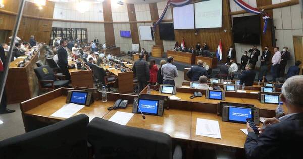 La Nación / Diputados sanciona ley de subsidio a combustibles
