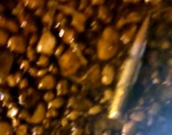 Con fusiles de guerra intentaron matar a presunto jefe narco