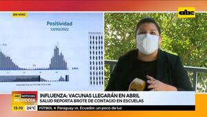INFLUENZA: Vacunas llegarán en abril  - ABC Noticias - ABC Color