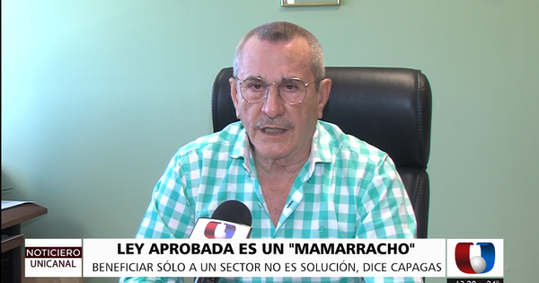 Ley de subsidio a Petropar es un "mamarracho", dice titular de Capagas