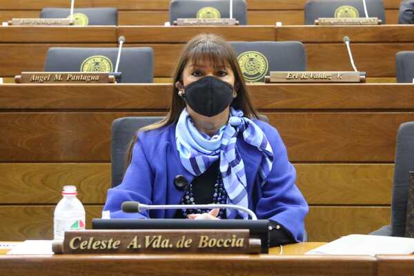 Diputada Villalba querella a su colega liberal Celeste Amarilla - ADN Digital