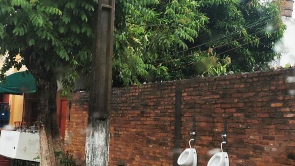 ¡Qué elegancia la de Francia! Ponen mingitorios en la calle para chulear a puercos