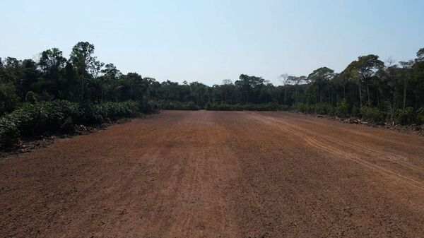 Gobierno de Brasil anuncia acciones fuertes contra devastación de la Amazonía - Mundo - ABC Color