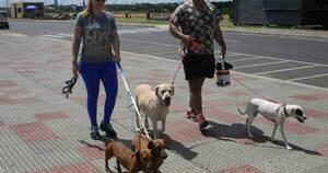 La Nación / Insistirán en mantener horario de verano todo el año
