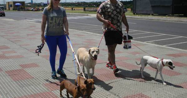 La Nación / Insistirán en mantener horario de verano todo el año