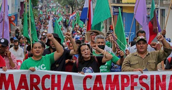 La Nación / Asociaciones campesinas, responsables de deforestación de 9 mil has. de bosques, dice exministro