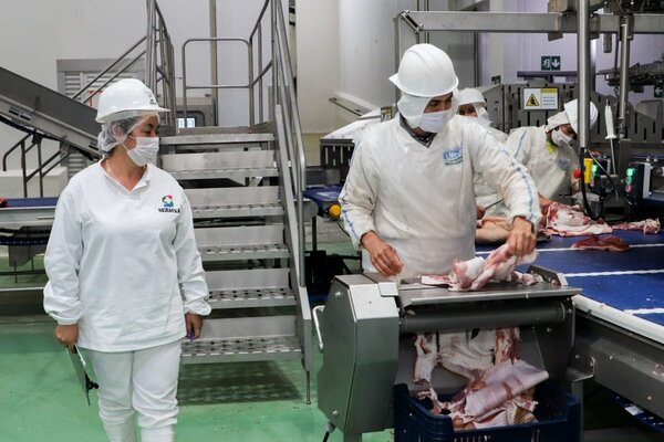 Frigorífico UPISA logró la apertura de Ecuador para la exportación de carne porcina
