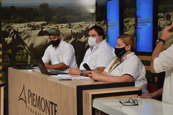 Piemonte vende 300 cabezas de invernada por pantalla, hoy sábado