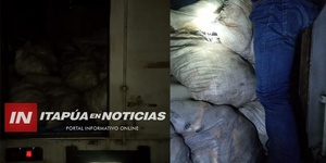 CAZADOR ATRAPADO CON CARNE DE YACARÉ Y CARPINCHO EN HOHENAU - Itapúa Noticias