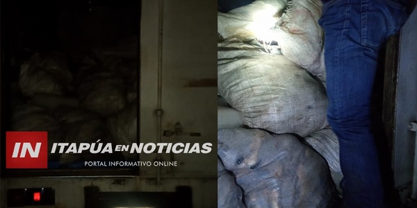 CAZADOR ATRAPADO CON CARNE DE YACARÉ Y CARPINCHO EN HOHENAU - Itapúa Noticias