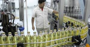 La Nación / Miles de puestos de trabajo en riesgo en la industria aceitera por falta de materia prima