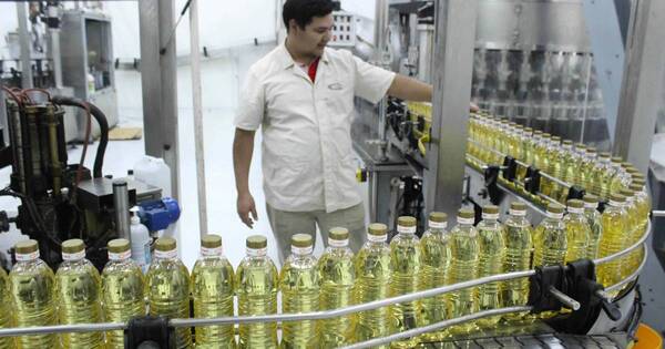 La Nación / Miles de puestos de trabajo en riesgo en la industria aceitera por falta de materia prima