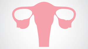 Diario HOY | Cáncer Cervical: Vacuna contra VPH y controles ginecológicos, claves para la prevención
