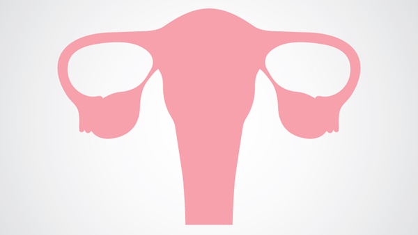 Diario HOY | Cáncer Cervical: Vacuna contra VPH y controles ginecológicos, claves para la prevención