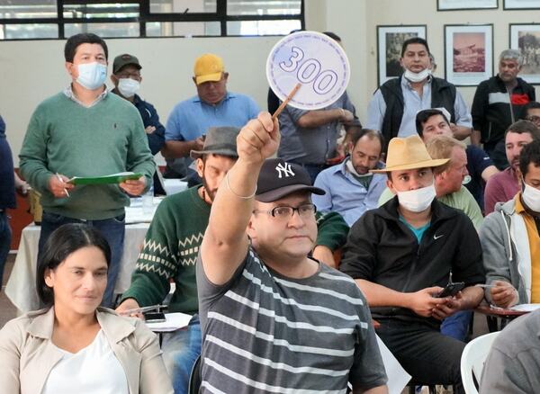 Gobernación recaudó más de G. 1.200 millones en subasta de 36 vehículos - La Clave