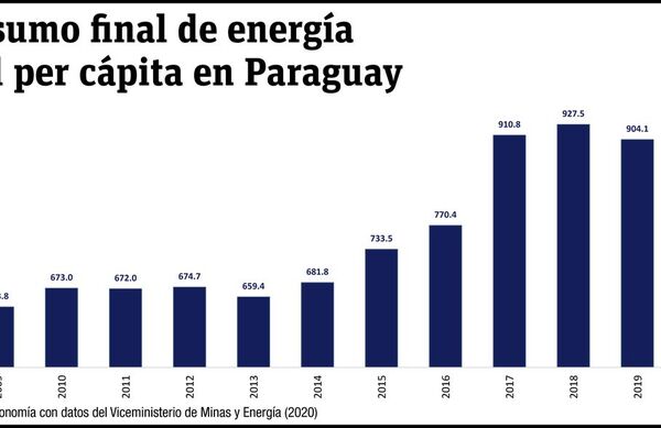 Composición y comportamiento de la matriz energética en Paraguay - Económico - ABC Color